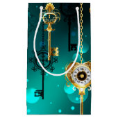 Petit Sac Cadeau Skeleton Keys on Green Background (Devant)