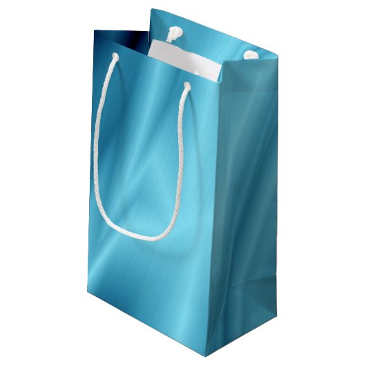 Petit Sac Cadeau Soie (Dos Angle)