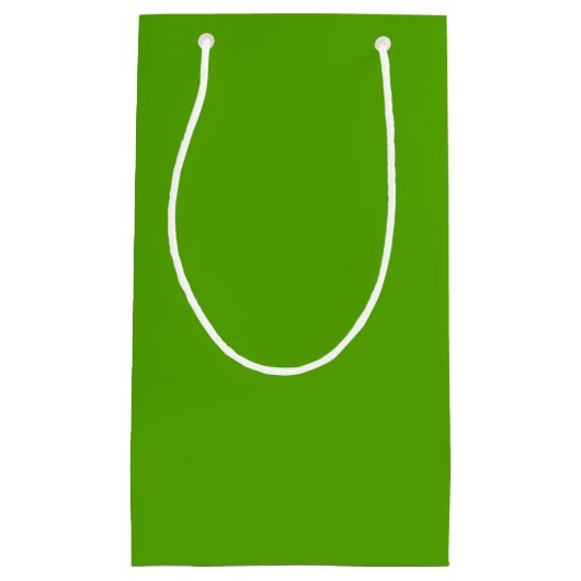 Petit Sac Cadeau Solide Jolly Green (Devant)