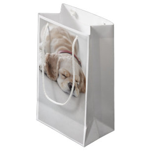 Petit Sac Cadeau Sommeil de chien de cocker