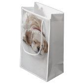 Petit Sac Cadeau Sommeil de chien de cocker (Dos Angle)