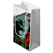 Petit Sac Cadeau South Lion à l'Art Institute de Chicago (Devant Angle)