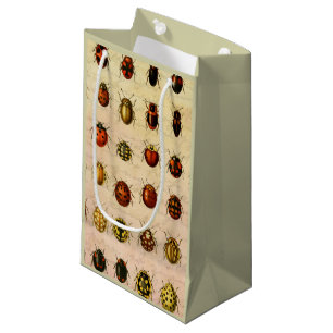 Petit Sac Cadeau Spécimen de coccinelle vintage Motif Insecte antiq