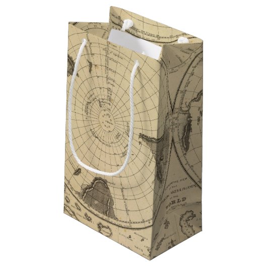 Petit Sac Cadeau Surface de terre du monde (Dos Angle)