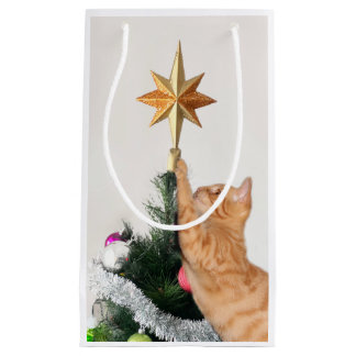 Petit Sac Cadeau Tabby orange et étoile de Noël