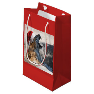 Petit Sac Cadeau Tigre du Bengale de Noël portant un Casquette du P