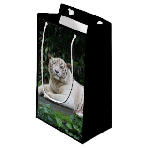 Petit Sac Cadeau Tigre noir et blanc du Bengale détendu et souriant
