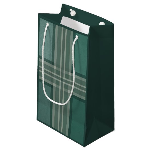 Petit Sac Cadeau Tons verts (Devant Angle)