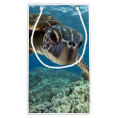 Petit Sac Cadeau Tortue de mer verte hawaïenne (Dos)