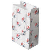 Petit Sac Cadeau Tous les pattes American Boy (Dos Angle)