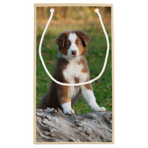 Petit Sac Cadeau Tri photo australienne rouge mignonne de chiot de