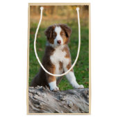 Petit Sac Cadeau Tri photo australienne rouge mignonne de chiot de (Devant)