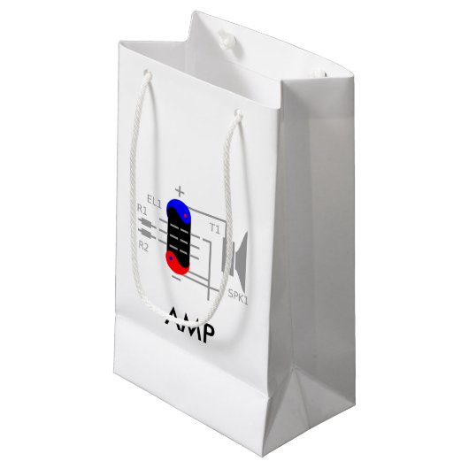 Petit Sac Cadeau Tube Amp (Devant Angle)