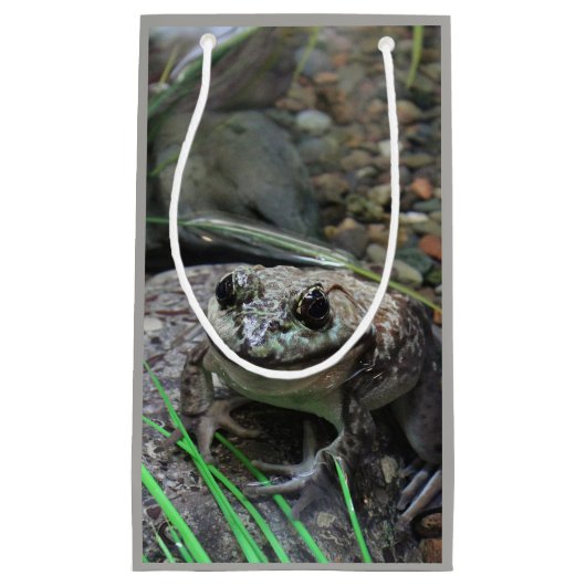 Petit Sac Cadeau Une grenouille heureuse (Devant)