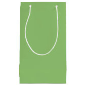 Petit Sac Cadeau Véritable Pistachio Vert (Devant)