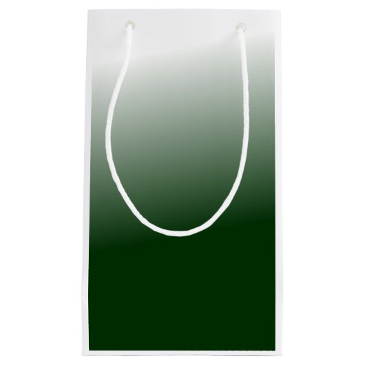 Petit Sac Cadeau Vert (Devant)