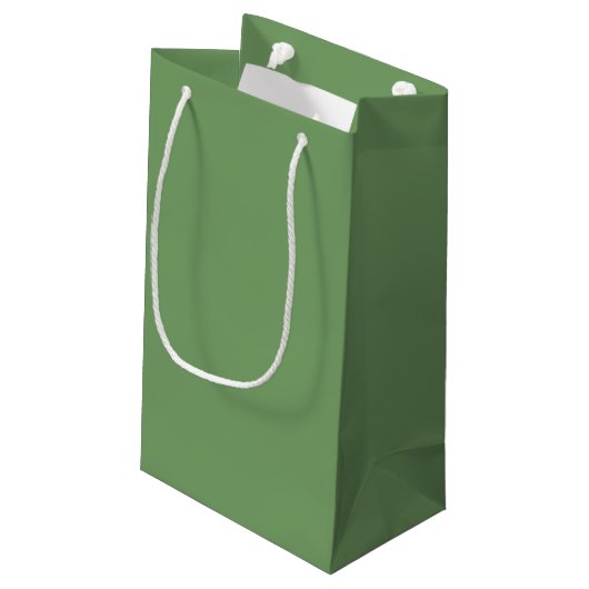 Petit Sac Cadeau Vert Prépa Mode Rétro Intemporel (Dos Angle)