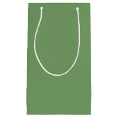 Petit Sac Cadeau Vert Prépa Mode Rétro Intemporel (Devant)