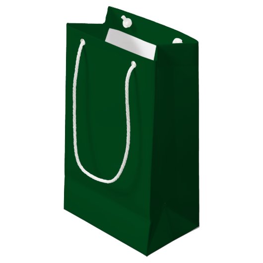 Petit Sac Cadeau Vert riche (solide) (Devant Angle)