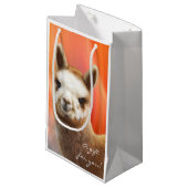 Petit sac de cadeau d'alpaga (Devant Angle)