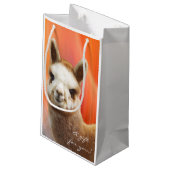 Petit sac de cadeau d'alpaga (Dos Angle)