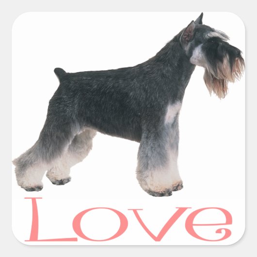 Petit Schnauzer Chien Chien Chien rose Sticker d'A (Devant)