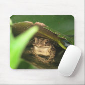 Petit tapis de souris de grenouille de crapaud (Avec souris)