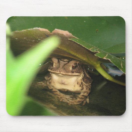 Petit tapis de souris de grenouille de crapaud (Devant)