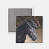 Petit Viking Horse Noble Head Magnet (Recto/Verso)