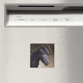 Petit Viking Horse Noble Head Magnet (In Situ (Lave-vaisselle))