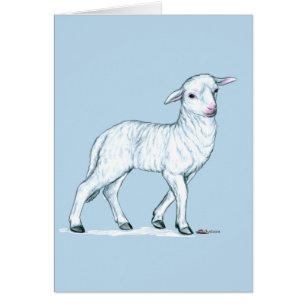 Petit White Lamb