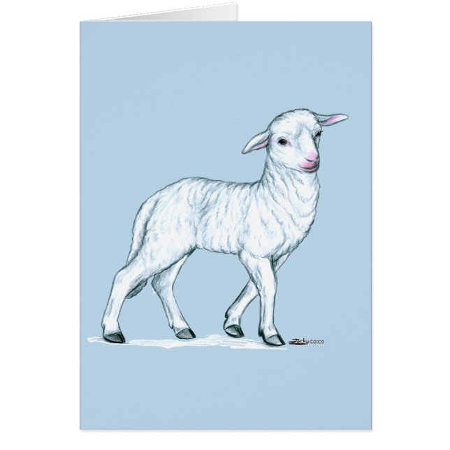 Petit White Lamb (Devant)