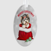 Petit Yorkshire Terrier Chien Cadeau Surprise Orne (devant)