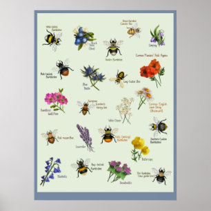 PetitArt   Britse bijen en wilde bloemen Poster