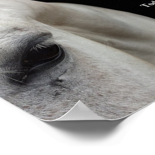 Petite affiche avec un cheval blanc et une citatio (Coin)