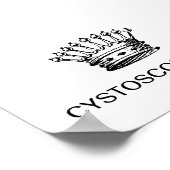 PETITE AFFICHE - CYSTOSCOPIE ROI (Coin)