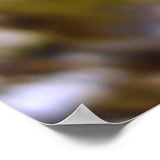 Petite affiche de papillon de skipper (Coin)