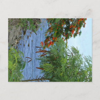 Petite Anse - Martinique, FWI Briefkaart