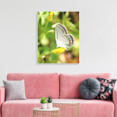 Petite Butterfly Canvas Afdruk (Insitu (Woonkamer))