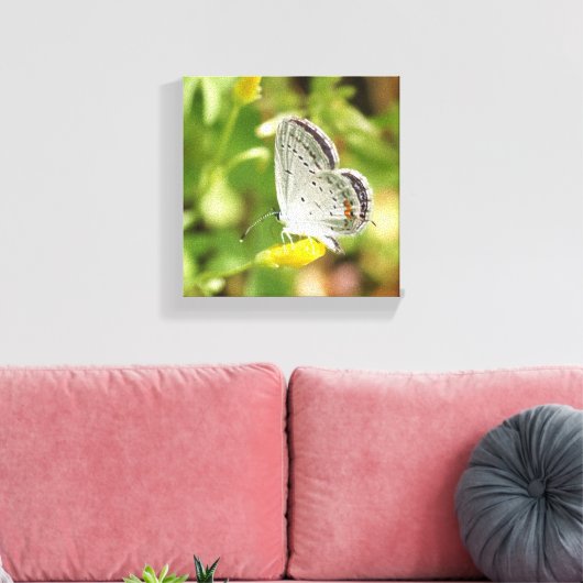 Petite Butterfly Canvas Afdruk (Insitu (Woonkamer))