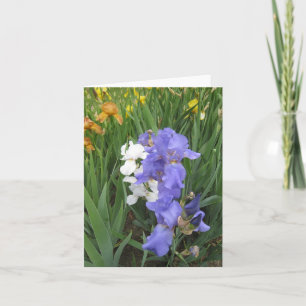 petite carte blanche bleue