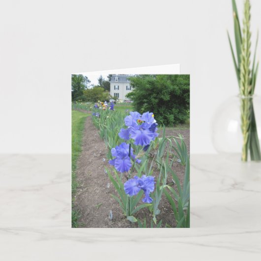 petite carte de note blanche (Devant)