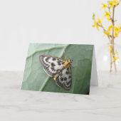 Petite carte de voeux de mite de pie (Fleur jaune)
