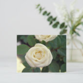 Petite carte postale blanche (Debout devant)
