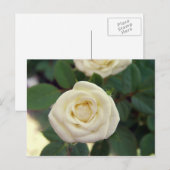 Petite carte postale blanche (Devant / Derrière)