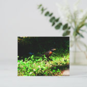 Petite Carte Postale de Robin (Debout devant)