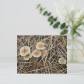 Petite carte postale OBX pour champignons de 2 cou (Debout devant)