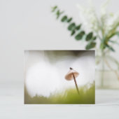 Petite carte postale photo de champignon de la nat (Debout devant)