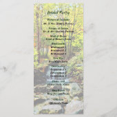 Petite cascade dans le parc d'automne Programme de (Dos)