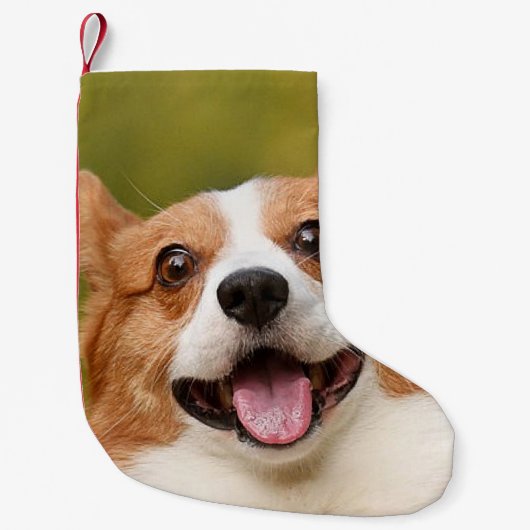 Petite Chaussette De Noël Ajouter photo de chien personnalisé Customisé (Devant)
